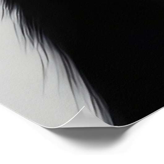 Poster Chat noir (Coin)