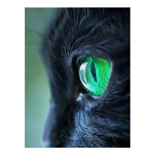 Poster Chat noir à l'œil émeraude