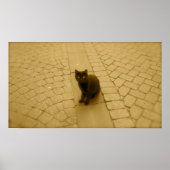 Poster Chat Noir À Sepia (Devant)