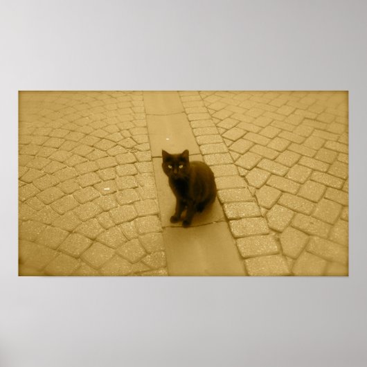 Poster Chat Noir À Sepia (Devant)