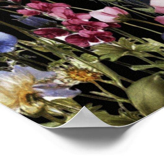 Poster Chat noir abstrait Fleurs sauvages colorées (Coin)