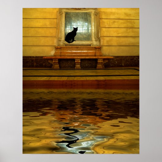 Poster Chat noir au-dessus de l'eau (Devant)