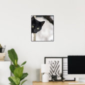 Poster Chat noir - avec bordure (Bureau à domicile)