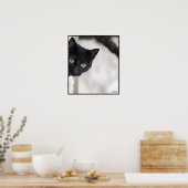 Poster Chat noir - avec bordure (Cuisine)