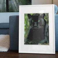 Chat noir avec les yeux verts