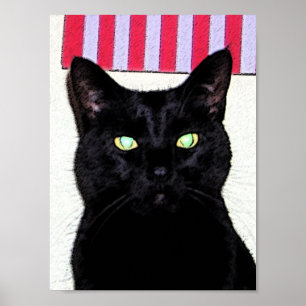 Poster Chat noir/bleu blanc rouge