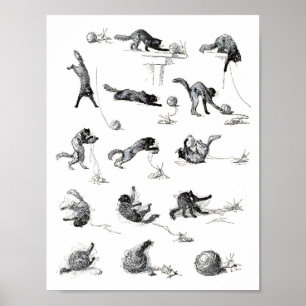 Poster Chat noir & Boule en laine, Alexandre Steinlen