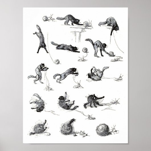 Poster Chat noir & Boule en laine, Alexandre Steinlen (Devant)