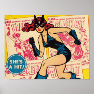 Poster Chat Noir, c'est un succès