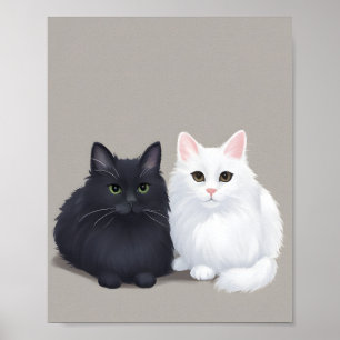 Poster chat noir chat blanc