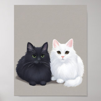 Poster chat noir chat blanc