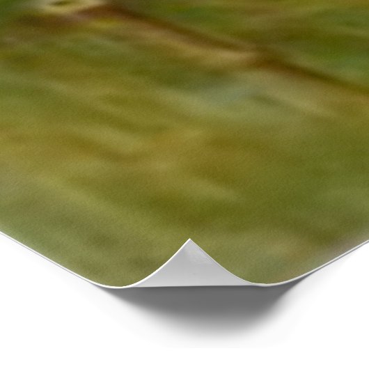 Poster Chat noir citrouille sorcière Chouette clown Choue (Coin)