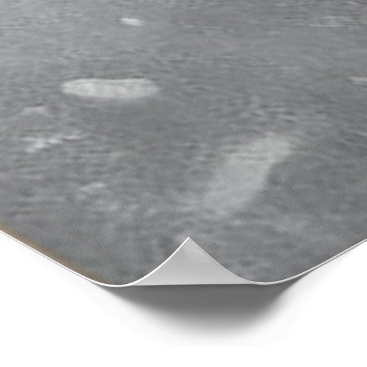 Poster Chat noir dans la neige (Coin)