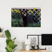 Poster Chat noir dans l'affiche des jonquilles (Bureau à domicile)