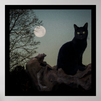 Poster Chat noir dans un arbre devant une Pleine lune