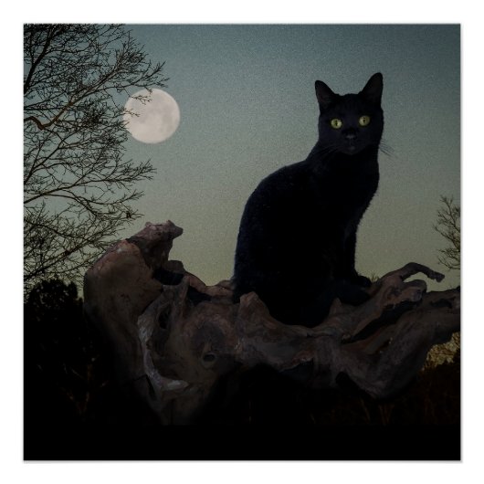 Poster Chat noir dans un arbre devant une Pleine lune (Devant)
