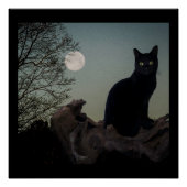 Poster Chat noir dans un arbre devant une Pleine lune (Devant)