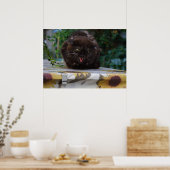 Poster Chat noir en colère (Cuisine)