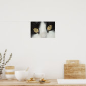 Poster Chat noir et blanc (Cuisine)