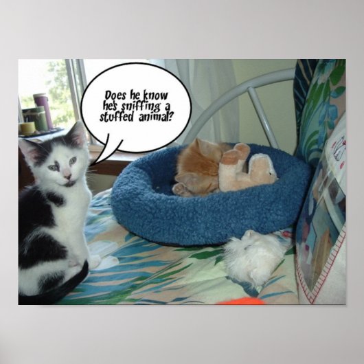 Poster Chat noir et blanc (Devant)