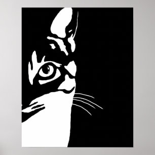 Poster Chat noir et blanc 657