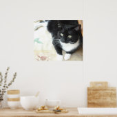 Poster Chat noir et blanc mignon (Cuisine)