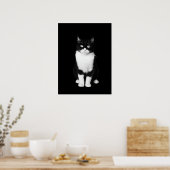 Poster Chat noir et blanc réaliste (Cuisine)