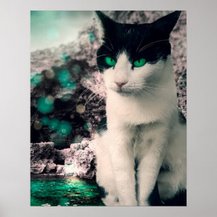 Poster Chat Noir Et Blanc Yeux Vert Assis À Voir