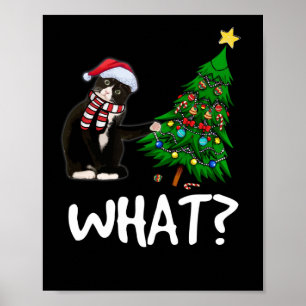 Poster Chat Noir Poussant Arbre De Noël Sur Chat Ce