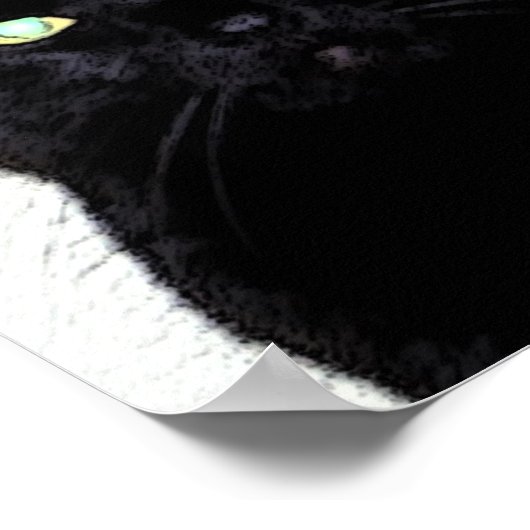 Poster Chat noir / Rouge Blanc Bleu (Coin)