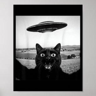 Poster Chat Noir Selfie Ufo Alien Cadeaux Drôles Pour Hom