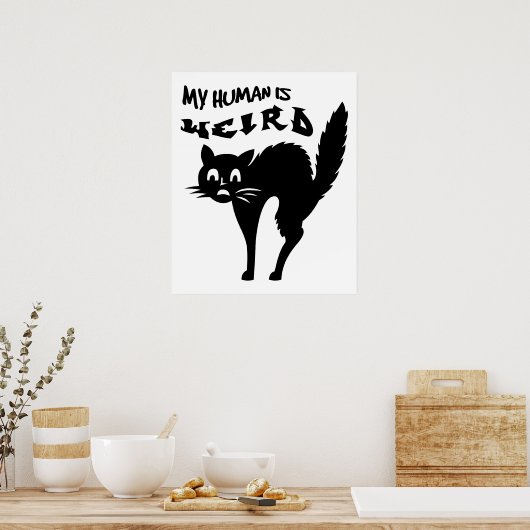 Poster Chat nu (Cuisine)