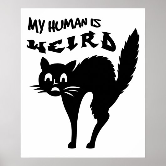 Poster Chat nu (Devant)