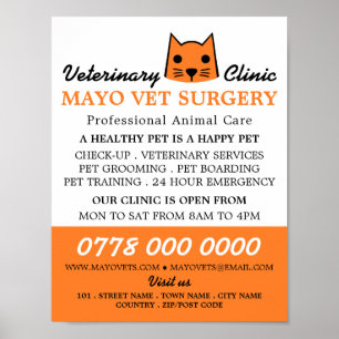 Poster Chat orange, Vétérinaire, Service vétérinaire