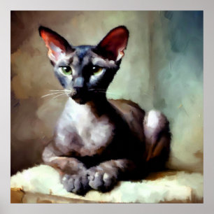 Poster Chat Oriental Shorthair