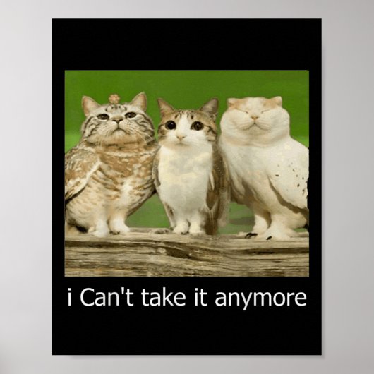Poster Chat Owl Drôle Meow Je ne peux plus le prendre (Devant)