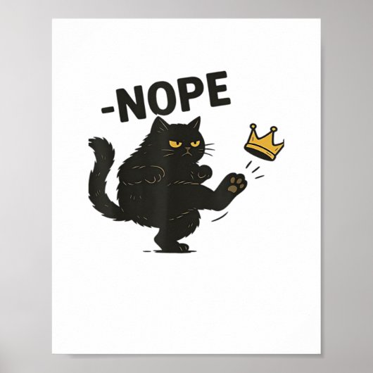 Poster Chat Pas De Rois En Amérique (Devant)