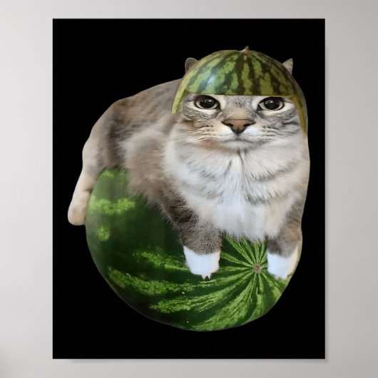 Poster Chat pastèque Mème drôle  (Devant)