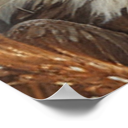 Poster Chat patriotique mignon enveloppé dans un drapeau  (Coin)