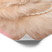 Poster Chat Persan au collier de perles et bérêt (Coin)