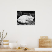Poster Chat persan blanc endormi (Cuisine)