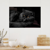 Poster Chat Persan Noir (Cuisine)
