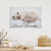 Poster Chat perse (Cuisine)