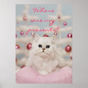 Poster Chat perse assis sur un coussin rose