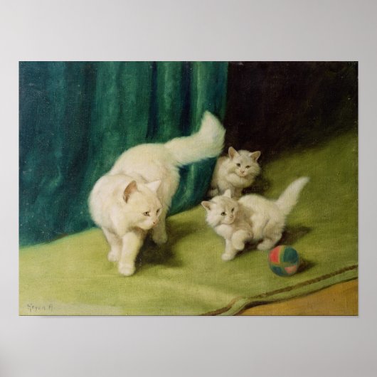 Poster Chat perse blanc avec deux chatons (Devant)