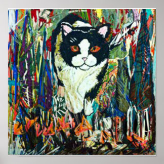 Poster Chat pointu