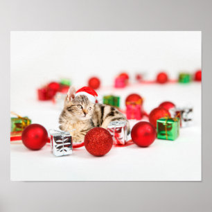 Poster Chat portant un chapeau de Père Noël rouge Noël
