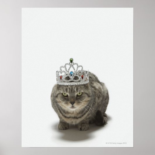 Poster Chat portant un diadème (Devant)