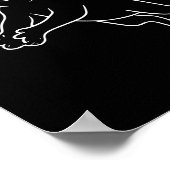 Poster Chat porter Sungles Volleyball Chat (Coin)