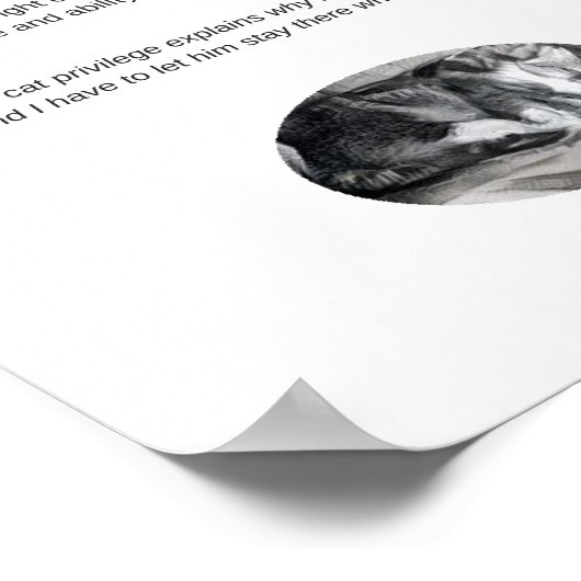 Poster Chat privilège drôle de citation blanc (Coin)